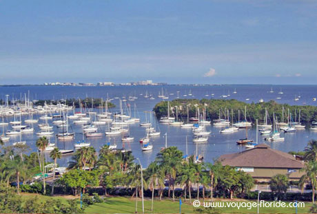 coconut-grove