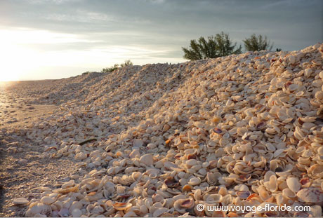 sanibel-island