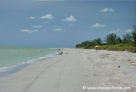 sanibel