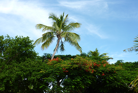 pensacola-floride